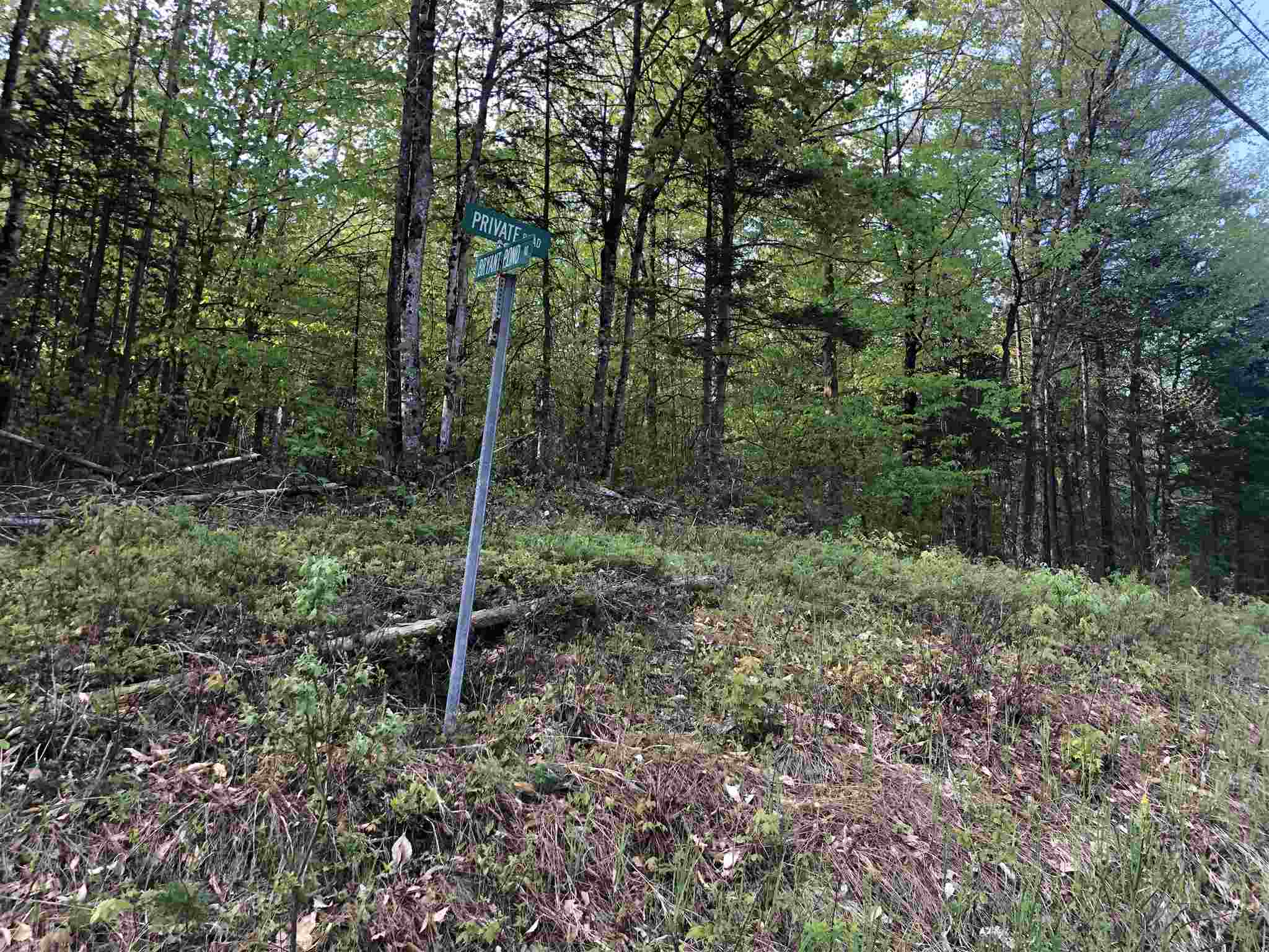 Bryant Pond Road Rumney, NH 03266 - Photo 3 of 38 Gallery Image 3