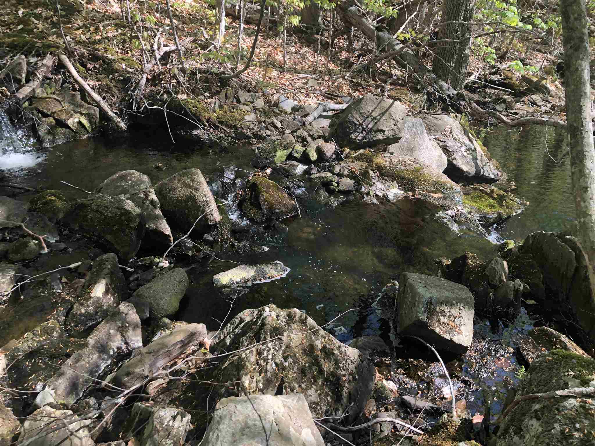 Bryant Pond Road Rumney, NH 03266 - Photo 22 of 38 Gallery Image 22