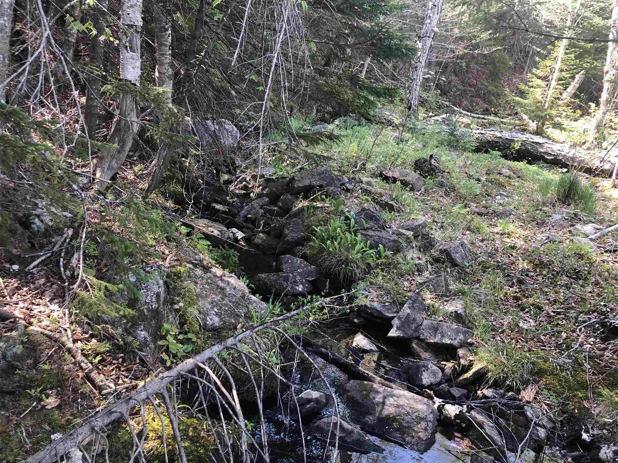 Bryant Pond Road Rumney, NH 03266 - Photo 23 of 38 Gallery Image 23