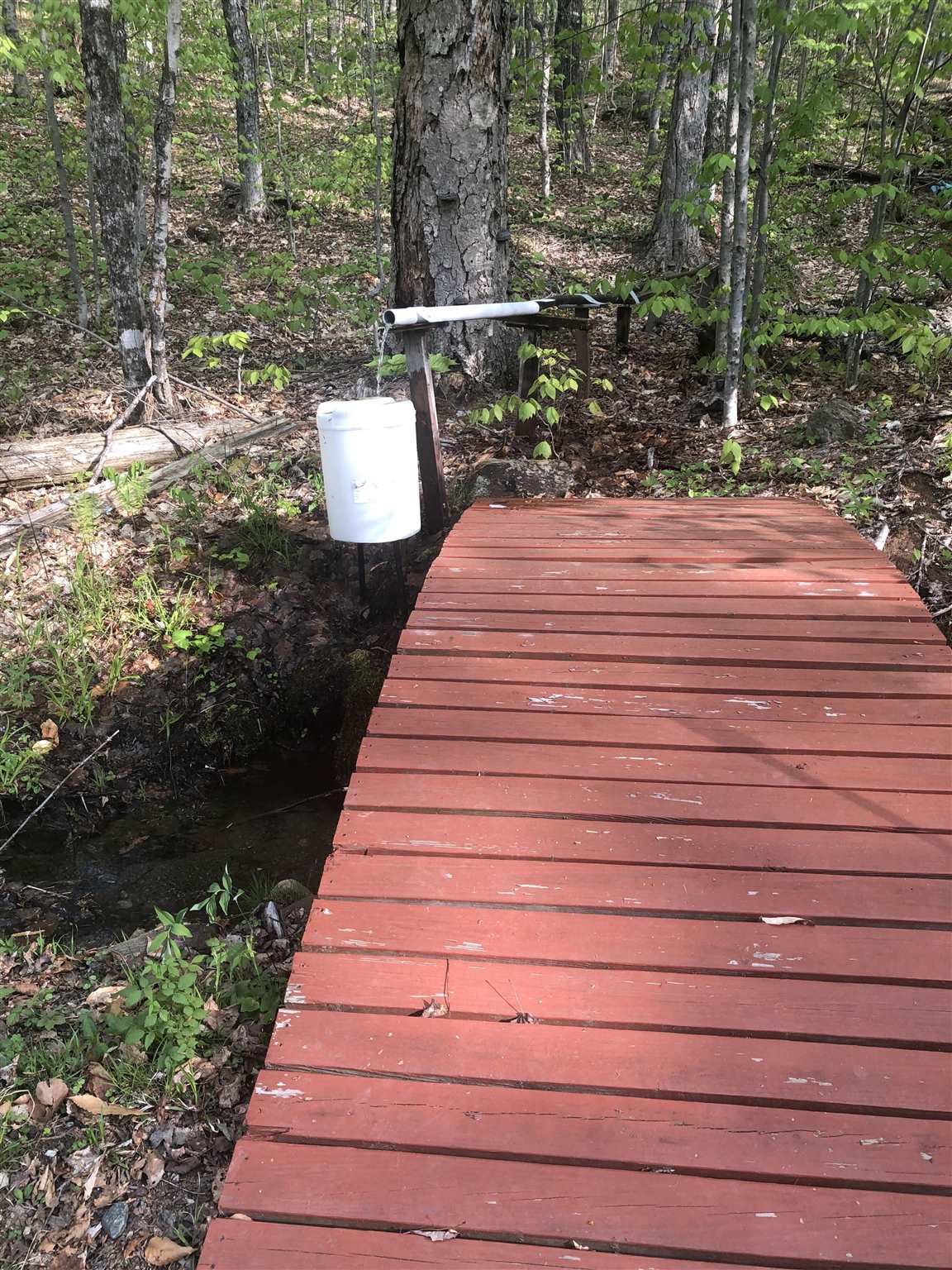 Bryant Pond Road Rumney, NH 03266 - Photo 6 of 38 Gallery Image 6