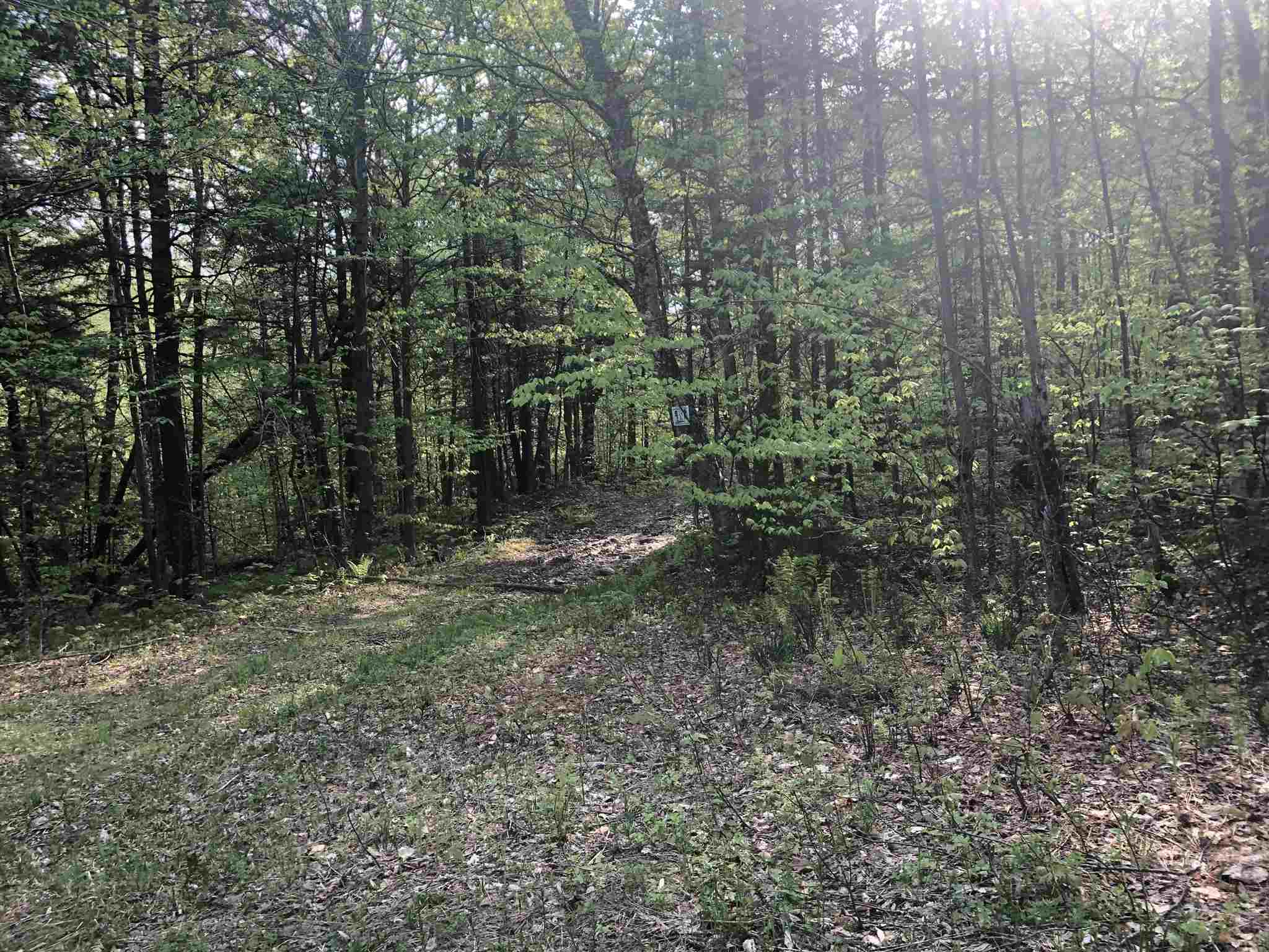 Bryant Pond Road Rumney, NH 03266 - Photo 7 of 38 Gallery Image 7