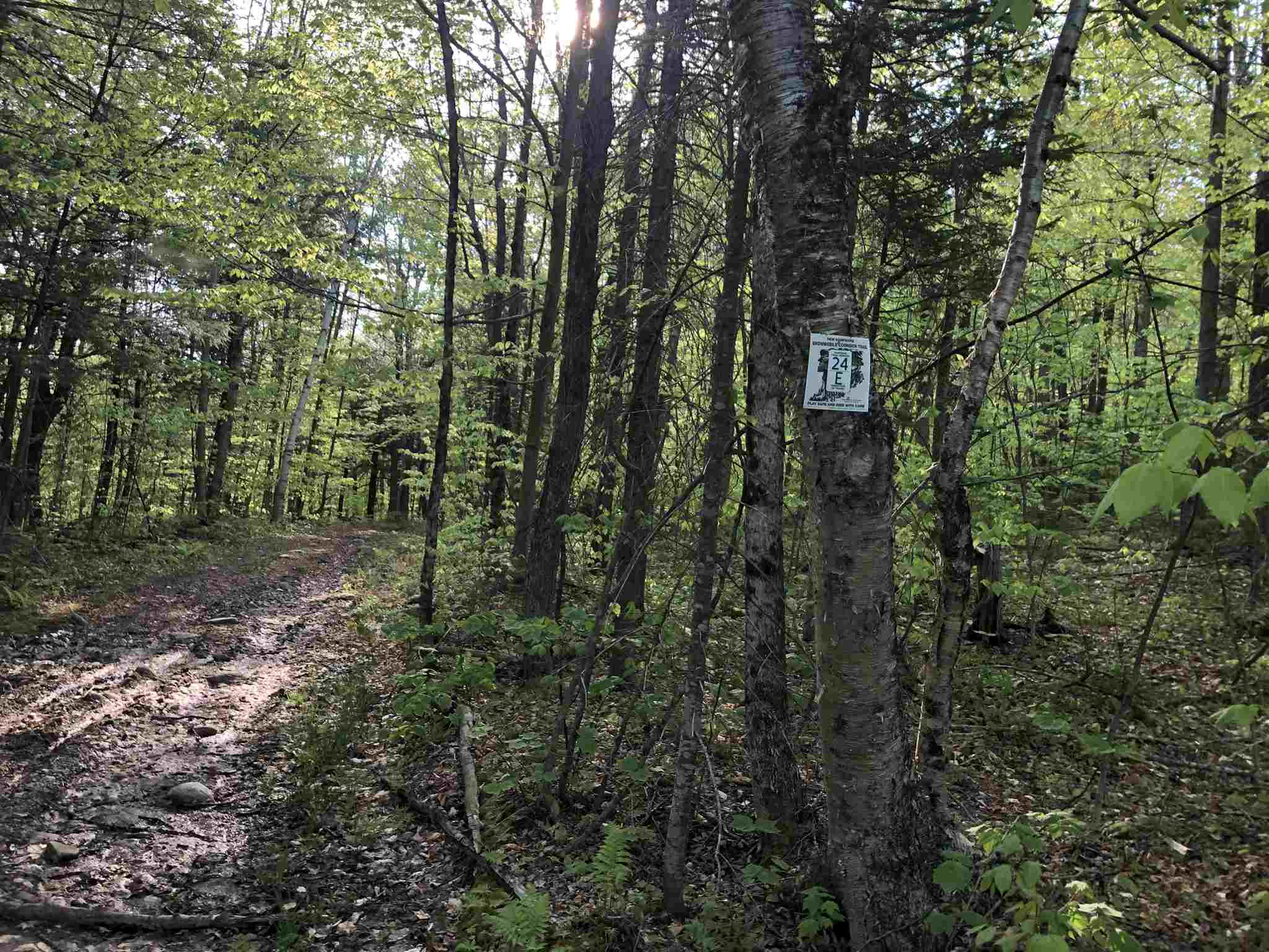 Bryant Pond Road Rumney, NH 03266 - Photo 8 of 38 Gallery Image 8