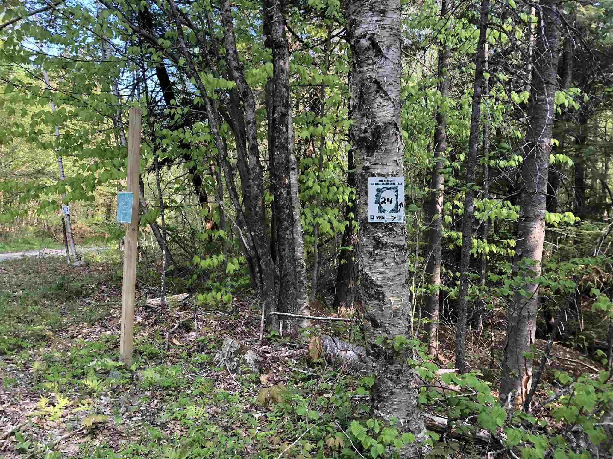 Bryant Pond Road Rumney, NH 03266 - Photo 10 of 38 Gallery Image 10