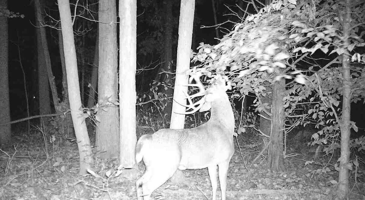 0 South Coxville Road Mecca, IN 47862 - Photo 56 of 64