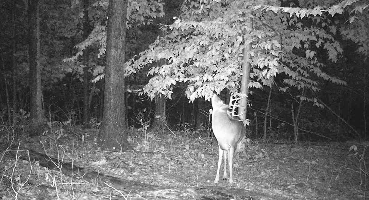 0 South Coxville Road Mecca, IN 47862 - Photo 60 of 64