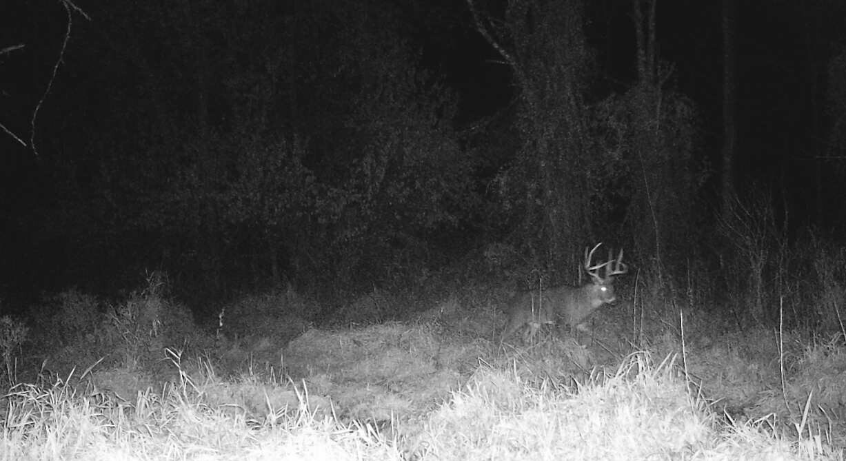0 South Coxville Road Mecca, IN 47862 - Photo 63 of 64