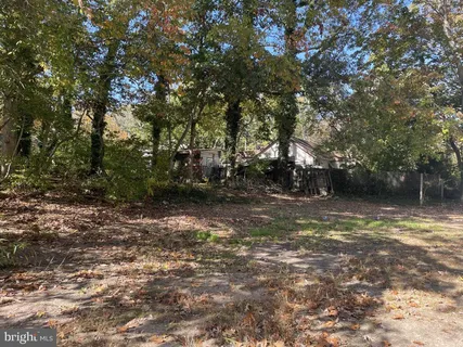 a view of a lake with trees