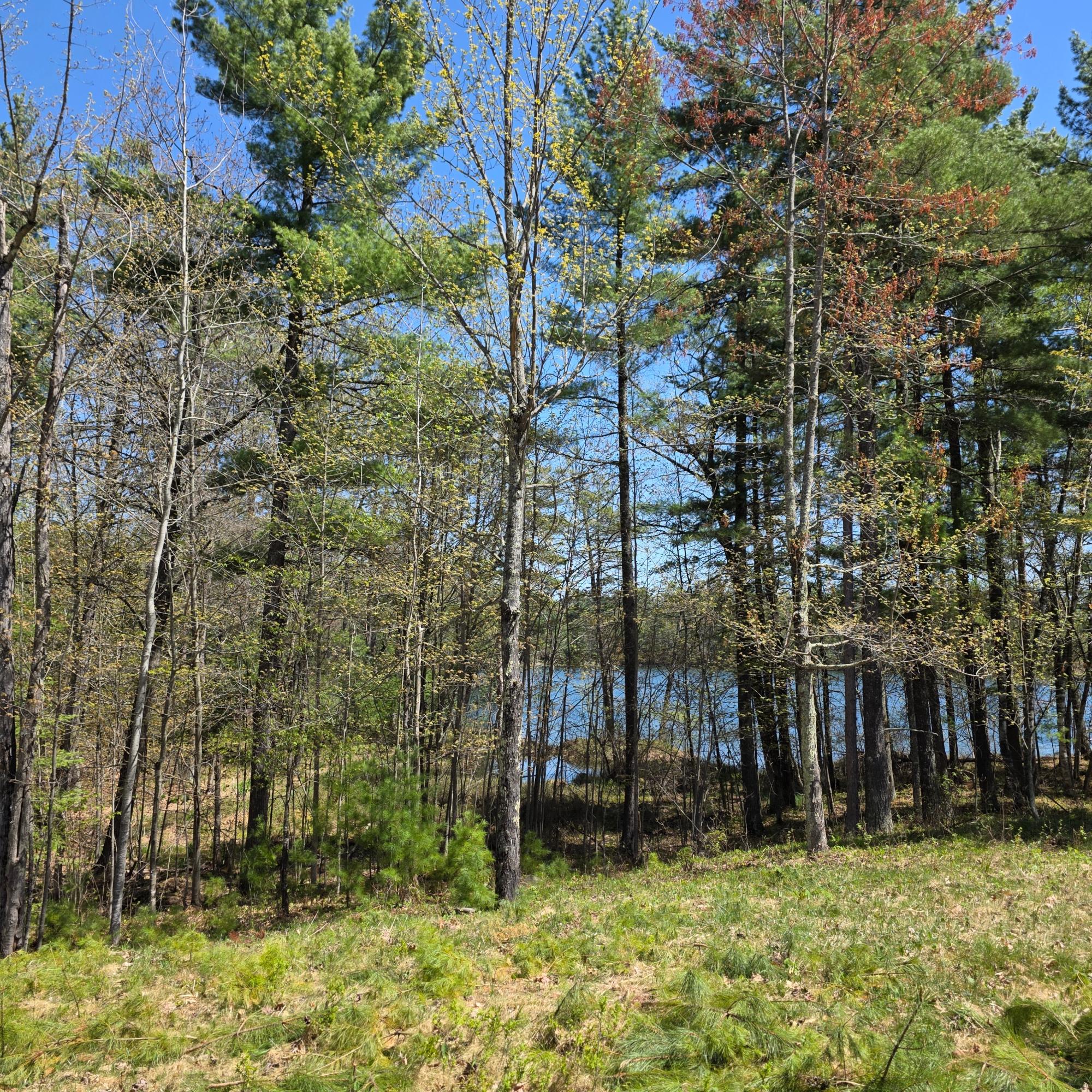 8659 N Bluegill Lake Road Winter, WI 54896 - Photo 13 of 25 Gallery Image 13