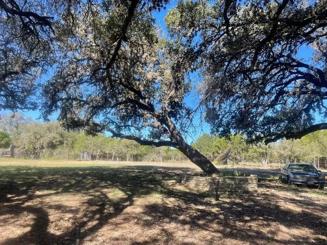 a view of yard with green space