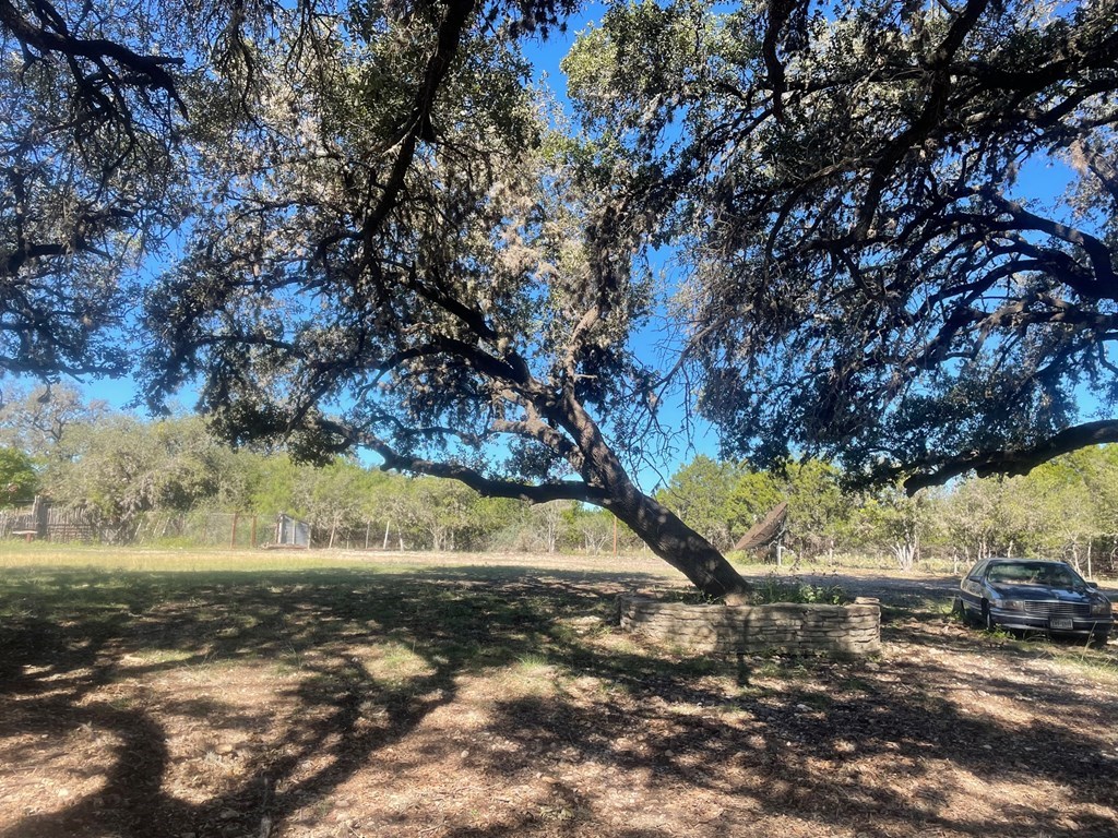 0 Dry Creek Road Barksdale, TX 78828 - Photo 3 of 8 a view of yard with green space