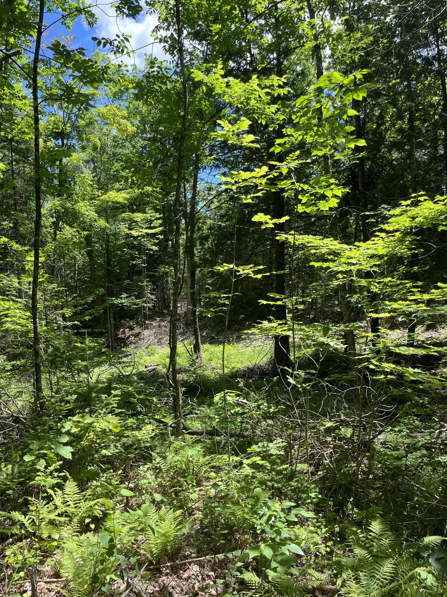 5 Fickett Road Etna, ME 04434 - Photo 7 of 23