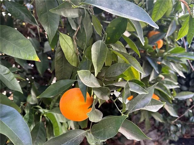 $699,990 | 22700 Cascade Drive, Canyon Lake, CA 92587