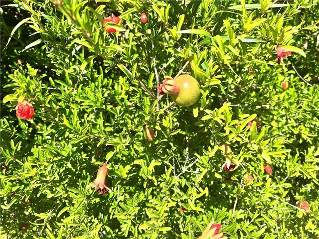 $699,990 | 22700 Cascade Drive, Canyon Lake, CA 92587