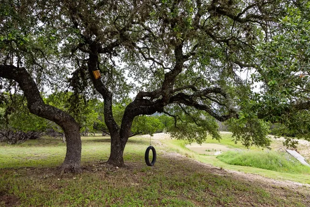 a view of outdoor space and yard
