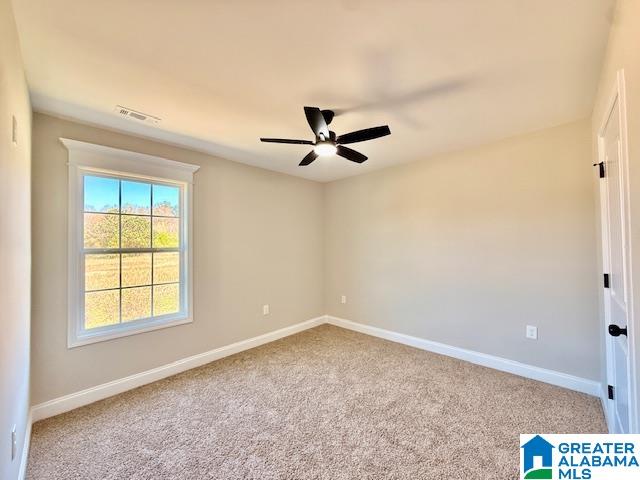 1006 Spring View Lane Clanton, AL 35045 - Photo 16 of 19