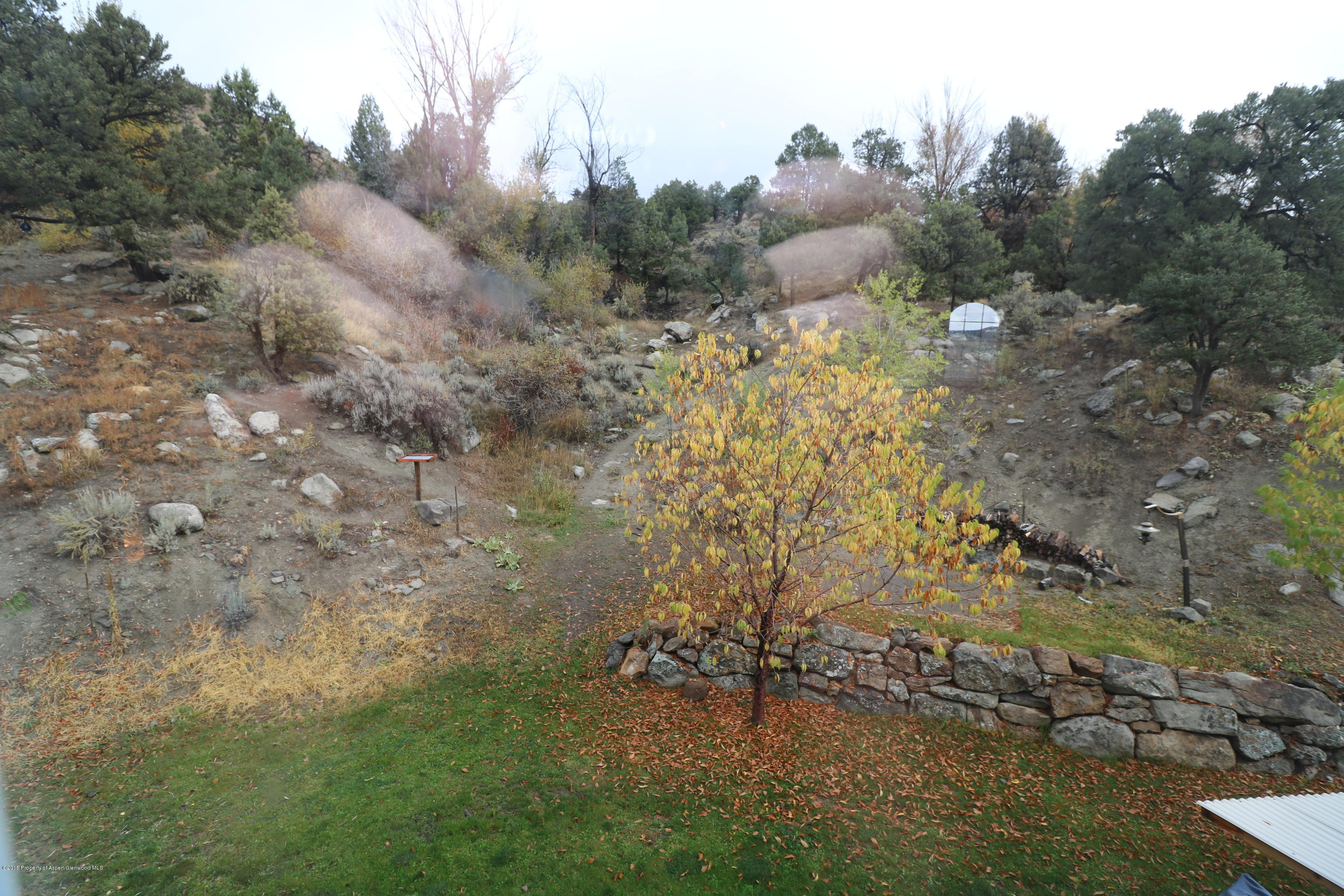 4323 Peach Valley Road Silt, CO 81652 - Photo 20 of 31 Backyard