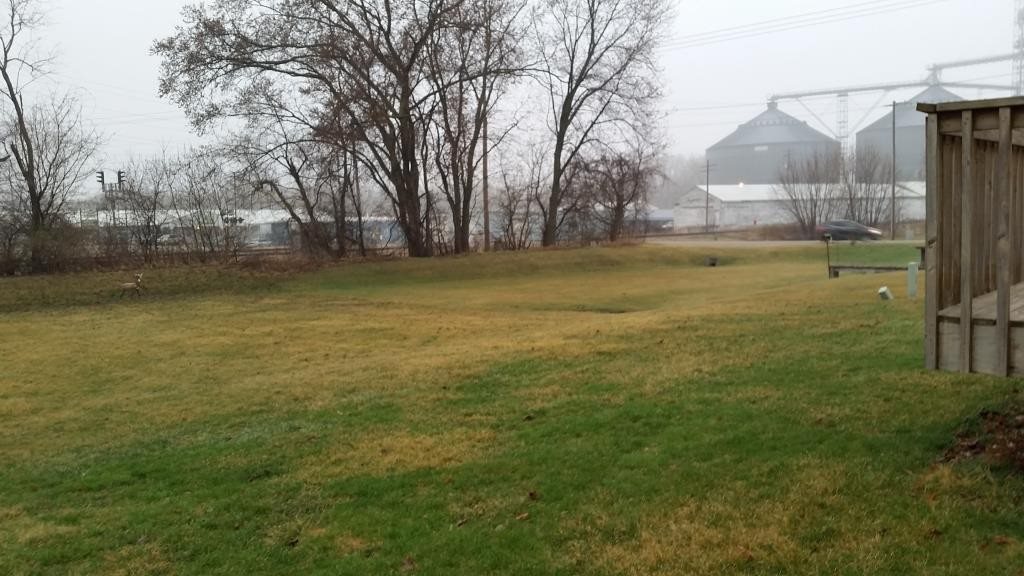 7031 Rye Ridge Trail Cherry Valley, IL 61016 - Photo 3 of 13 a view of a yard