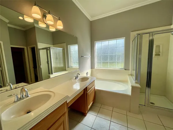 a bathroom with a tub sink shower and mirror