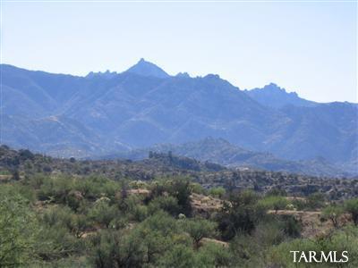 16490 North Ridge Rock Trail Tucson, AZ 85739 - Photo 18 of 25 Gallery Image 18