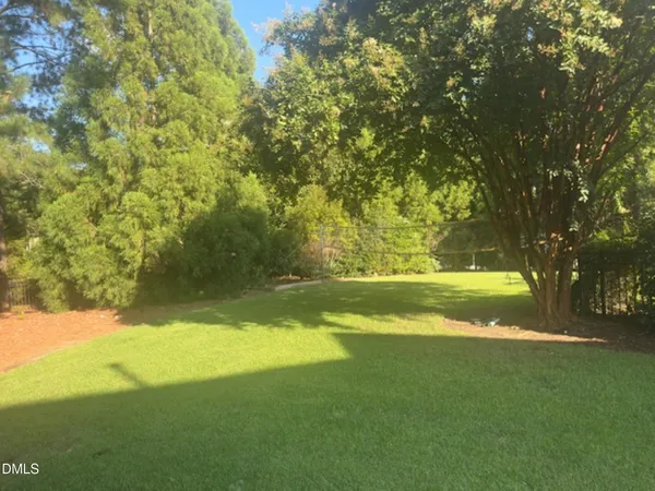 a view of a backyard with plants and tree