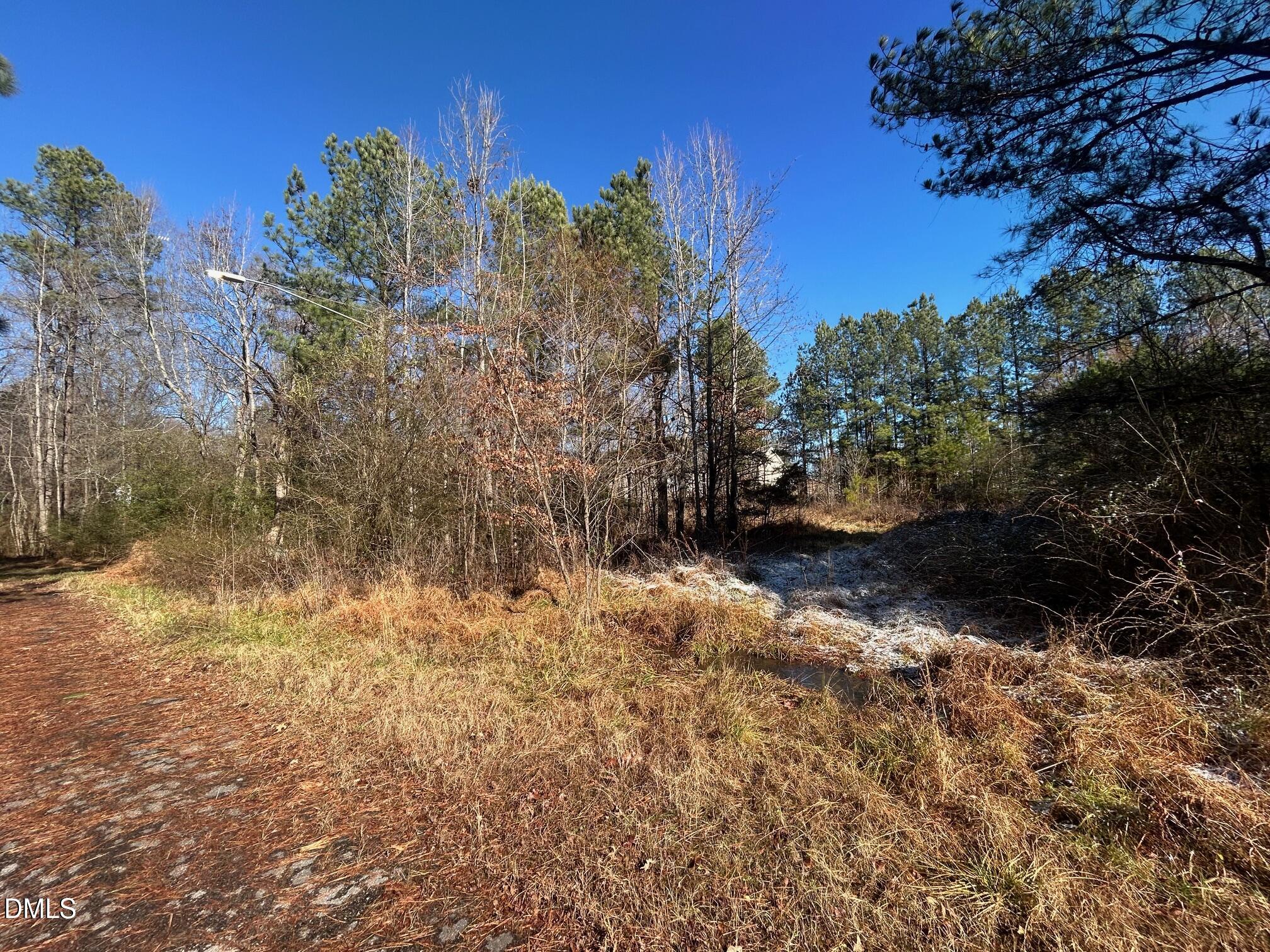 Lot 16 Dove Road Oxford, NC 27565 - Photo 2 of 7