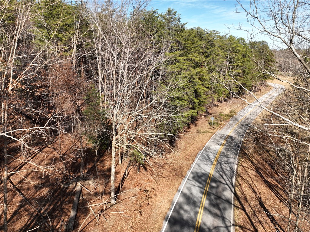 Tract B Old Unity Road Westminster, SC 29693 - Photo 6 of 12 A winding road cuts through a serene landscape of dense woods and open terrain.