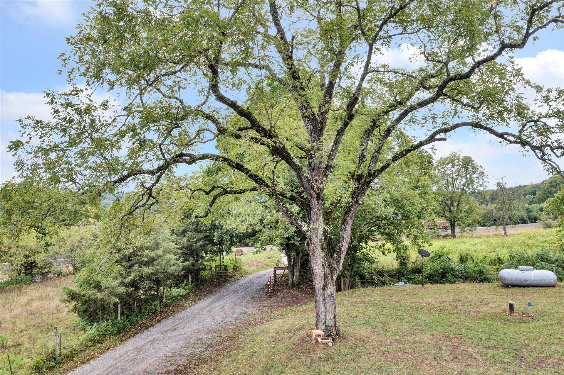 5827 Botetourt Road Fincastle, VA 24090 - Photo 4 of 65 04-DJI_0281