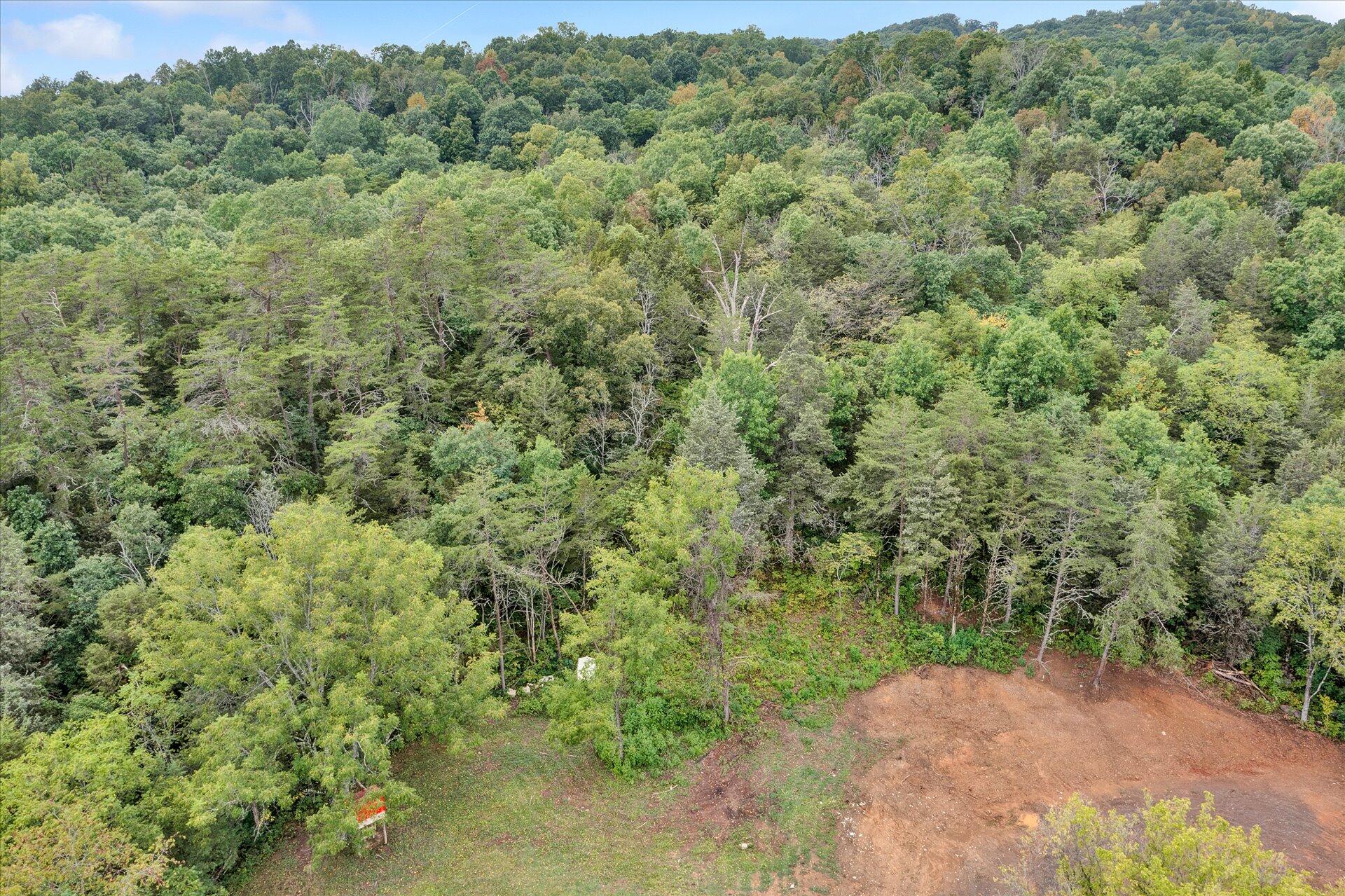 5827 Botetourt Road Fincastle, VA 24090 - Photo 51 of 65 47-DJI_0302