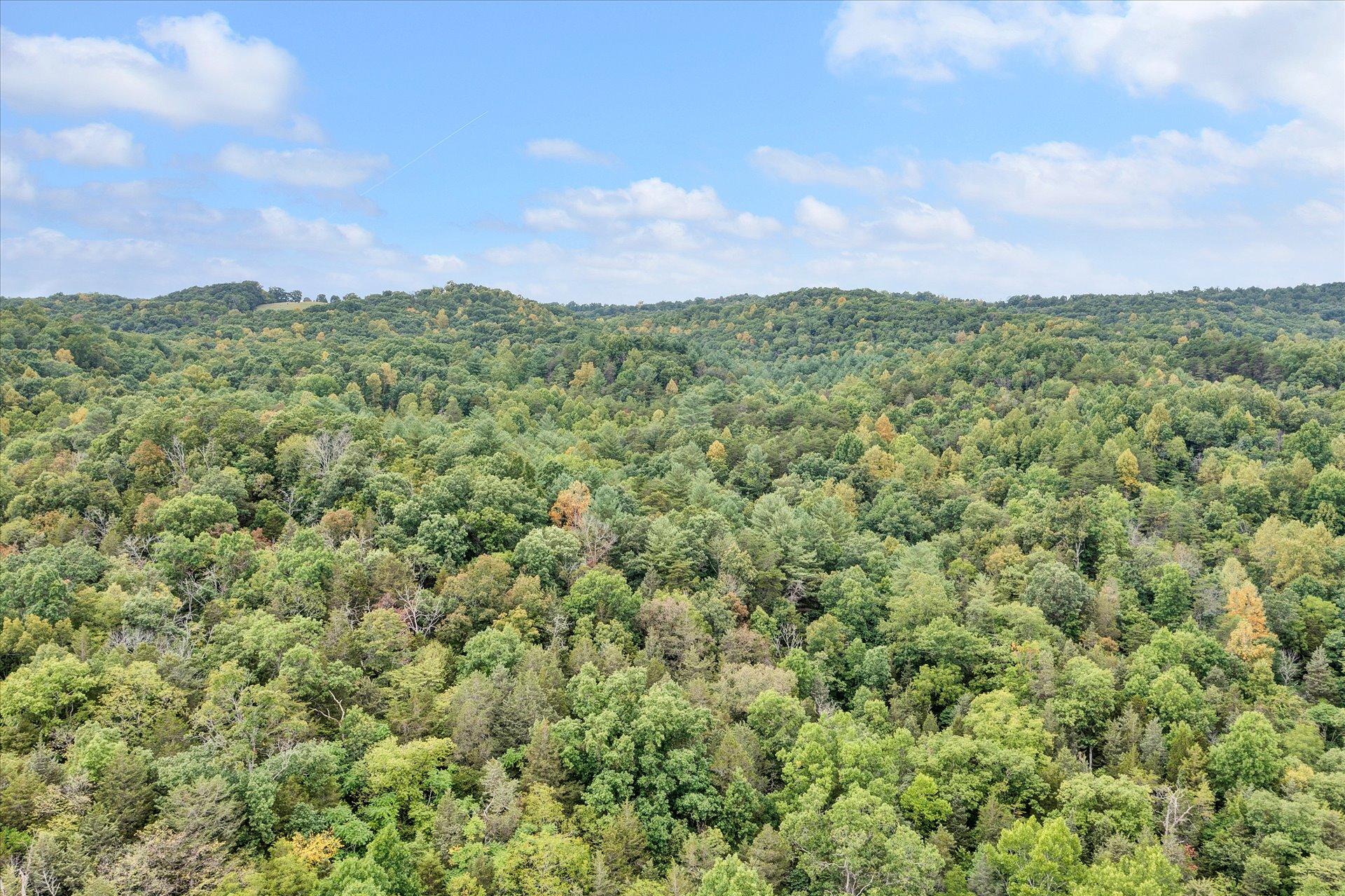 5827 Botetourt Road Fincastle, VA 24090 - Photo 54 of 65 50-DJI_0311