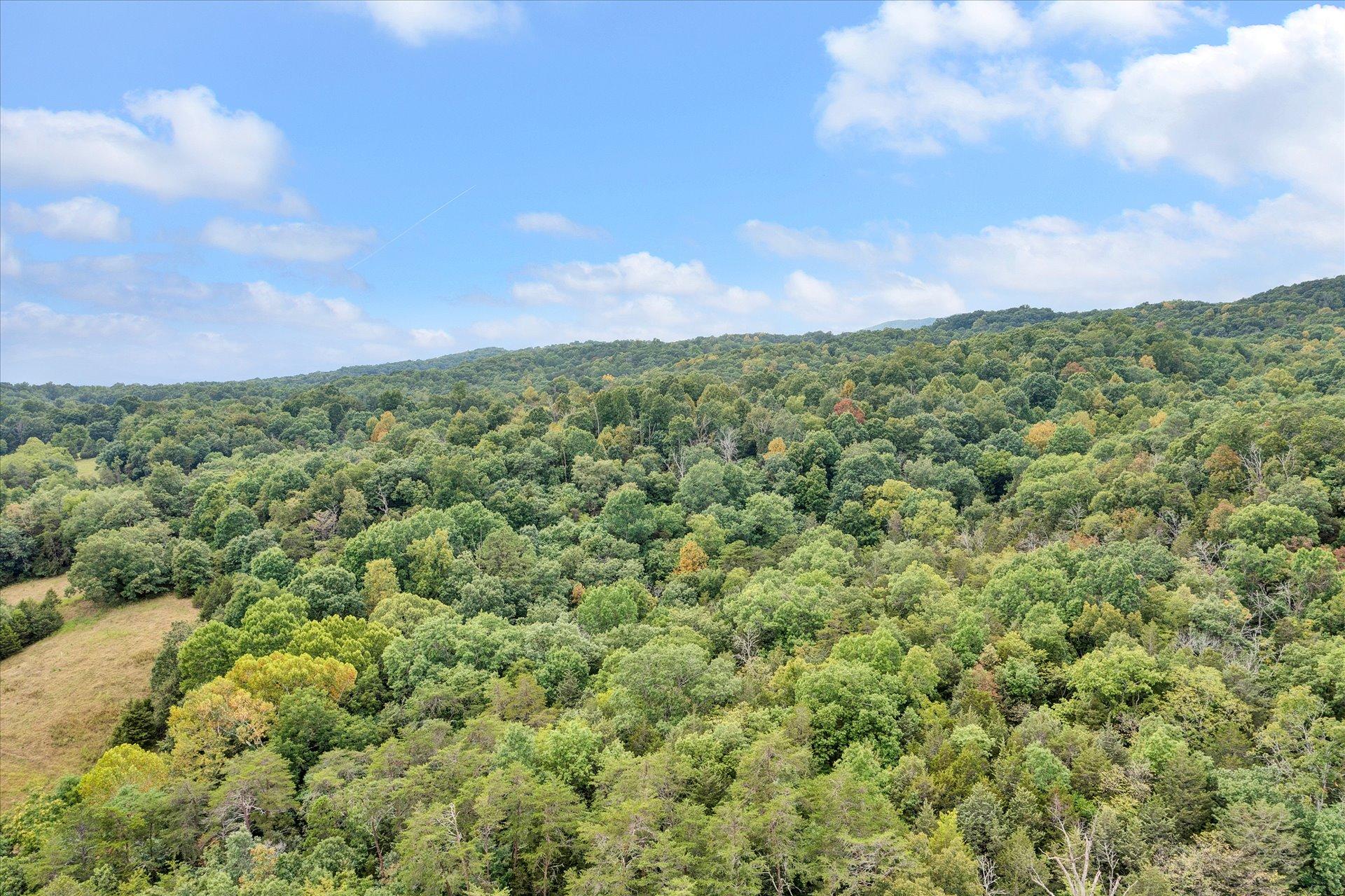 5827 Botetourt Road Fincastle, VA 24090 - Photo 55 of 65 51-DJI_0314