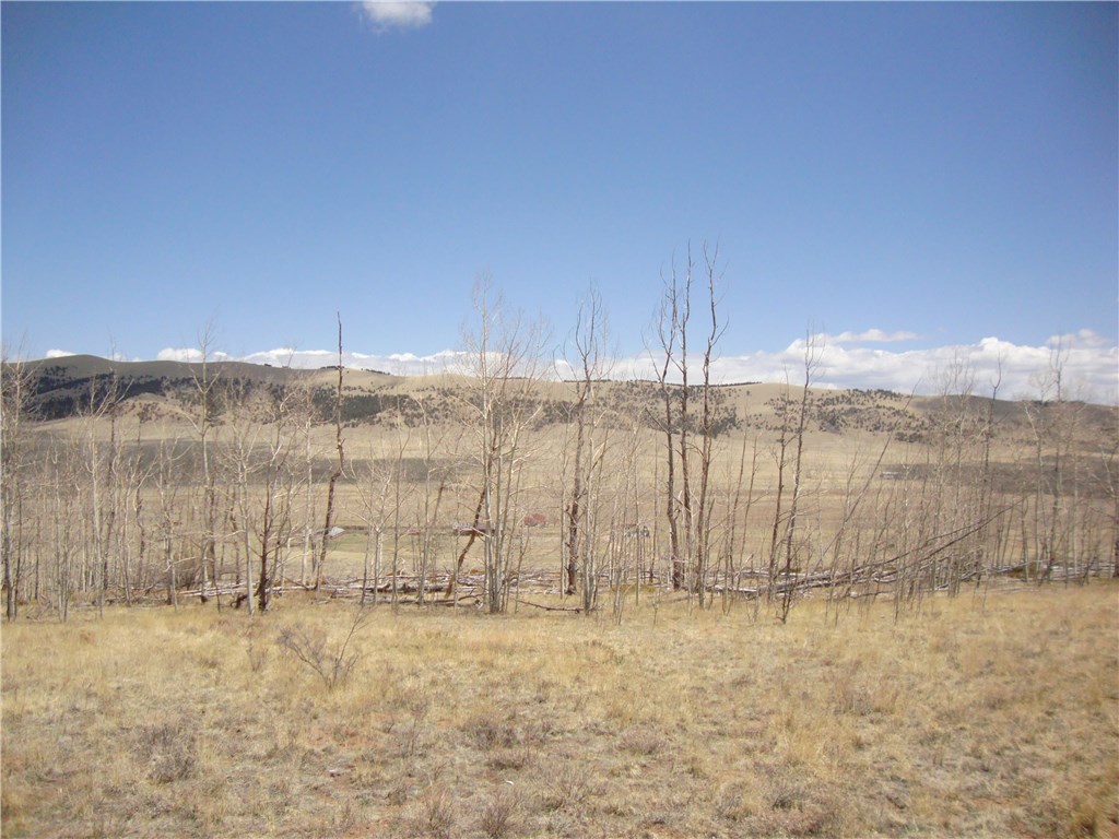 Lot 103 Redhill Road Fairplay, CO 80440 - Photo 17 of 24 Gallery Image 17