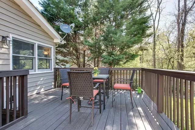 a view of a backyard with plants and trees
