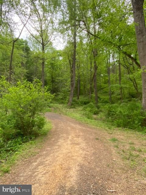 New Mountain Road Aldie, VA 20105 - Photo 2 of 7