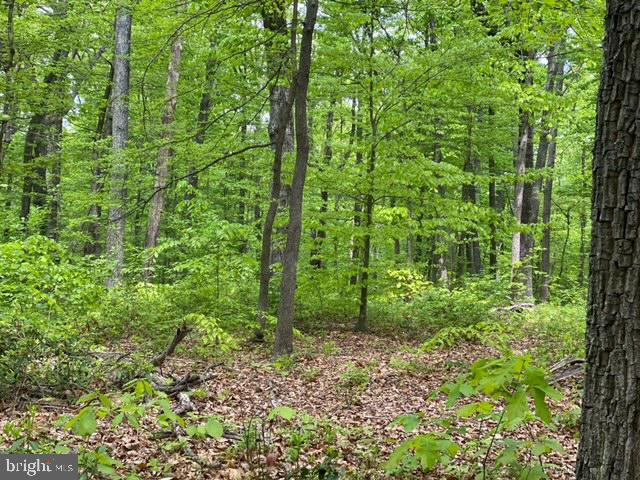 New Mountain Road Aldie, VA 20105 - Photo 3 of 7