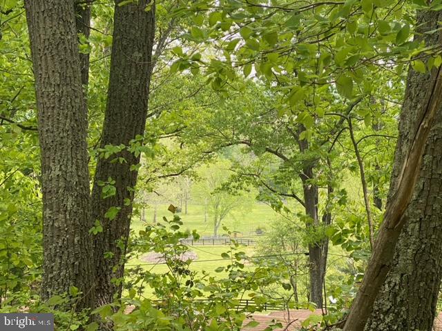 New Mountain Road Aldie, VA 20105 - Photo 4 of 7