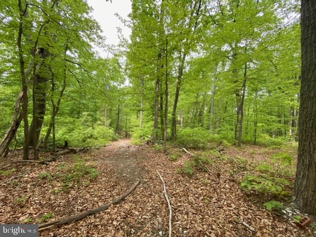 New Mountain Road Aldie, VA 20105 - Photo 5 of 7