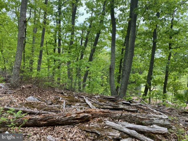 New Mountain Road Aldie, VA 20105 - Photo 7 of 7