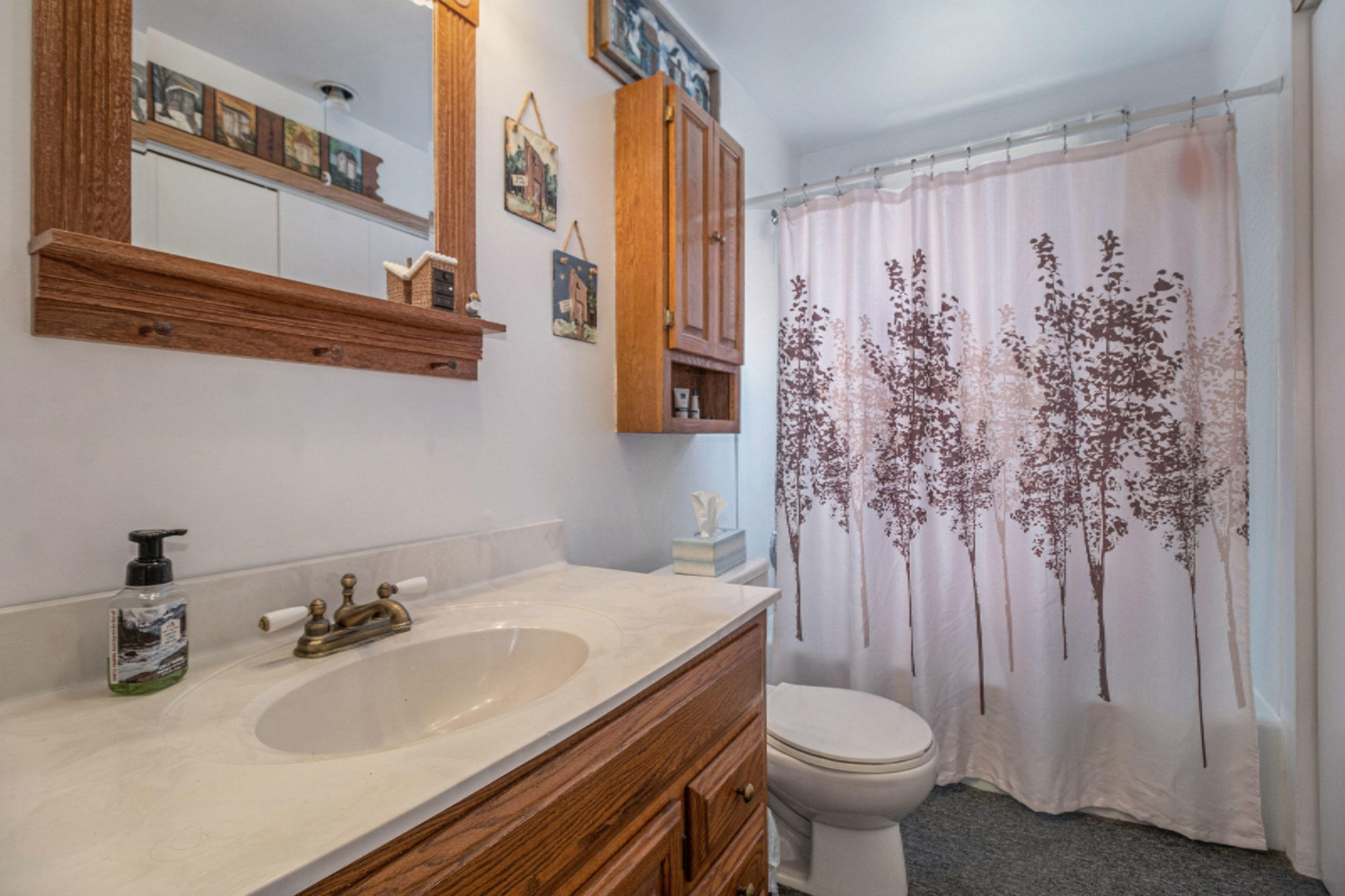 369 South Culver Road Colon, MI 49040 - Photo 17 of 31 _DSF9776