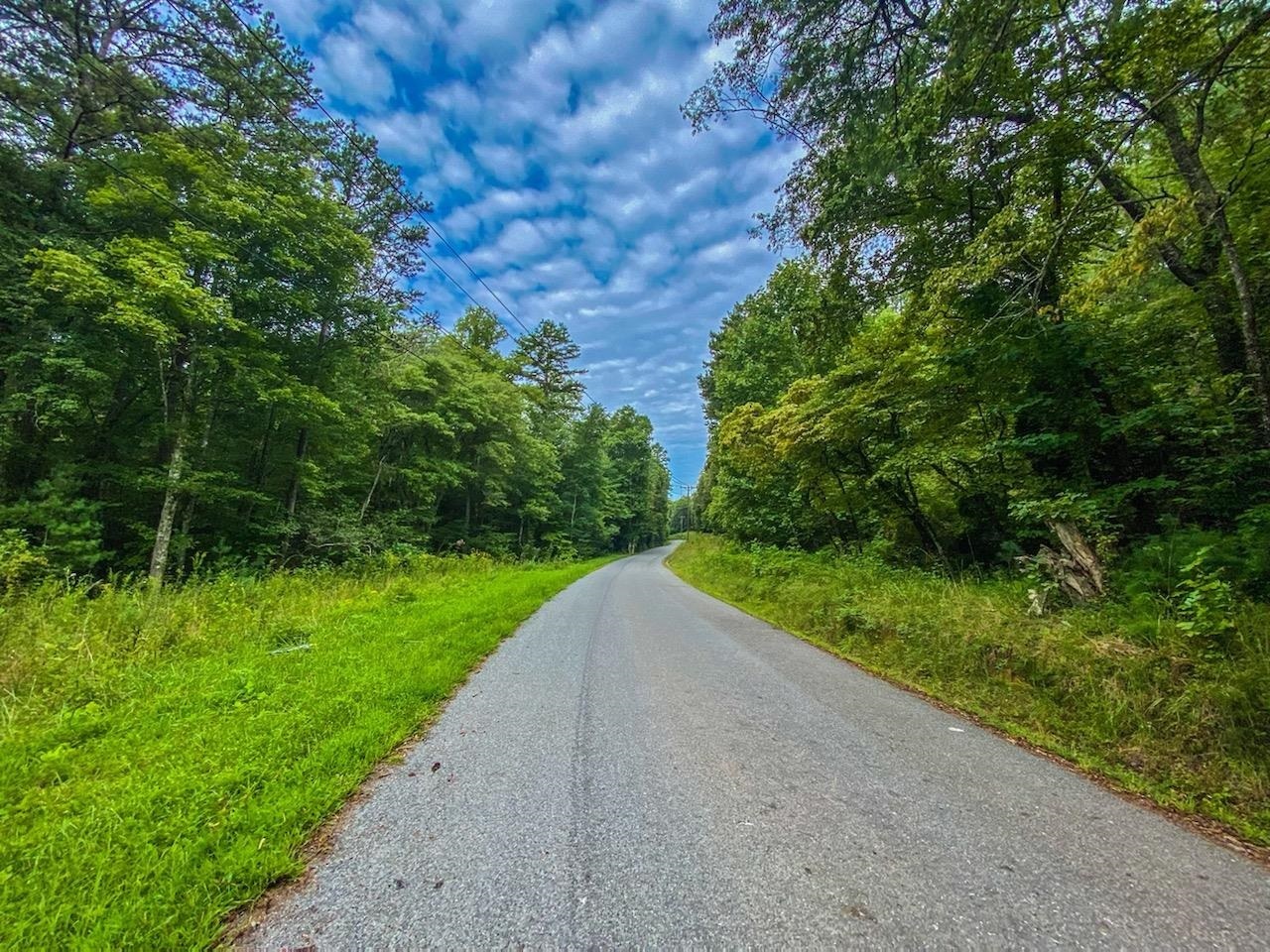 0 Haygood Road, Unit 5 ACRES Mineral Bluff, GA 30559 - Photo 1 of 1 Gallery Image 1
