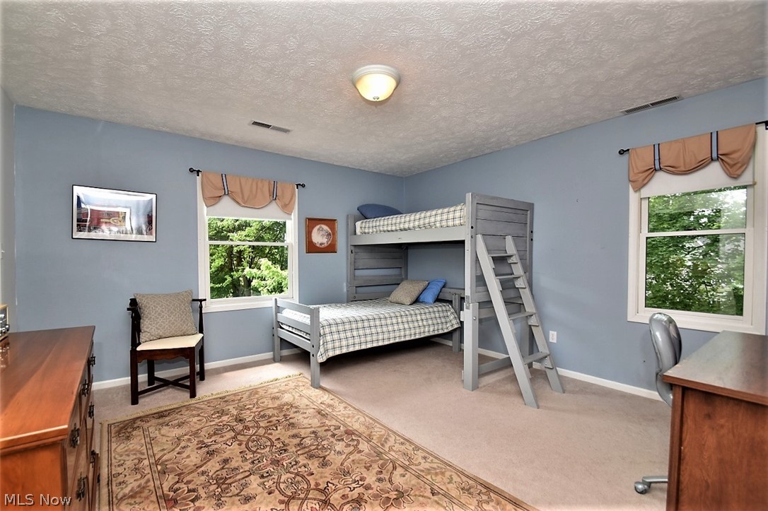 8490 Rockspring Drive Bainbridge, OH 44023 - Photo 10 of 23