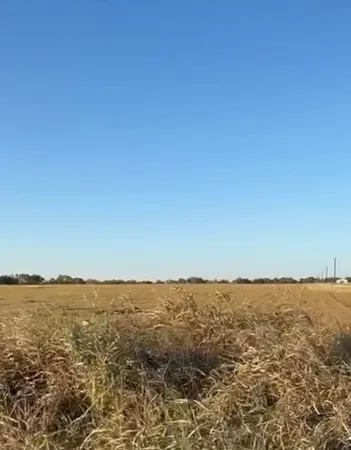 a view of beach and ocean