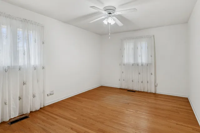 a view of a yard with plants and trees