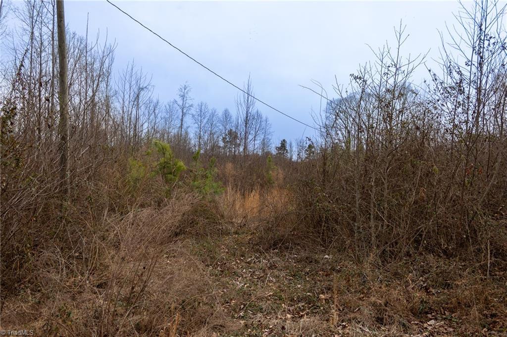 0 Bill Medlin Road Lexington, NC 27292 - Photo 11 of 15