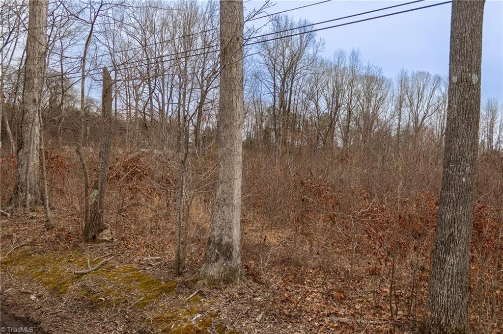 0 Bill Medlin Road Lexington, NC 27292 - Photo 12 of 15