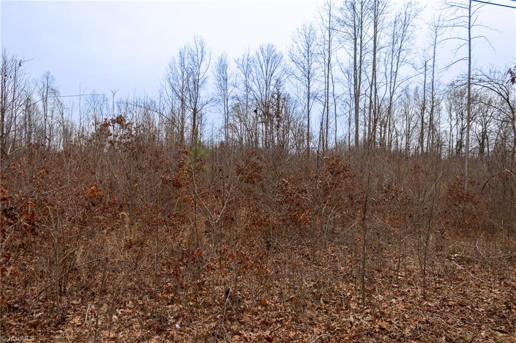 0 Bill Medlin Road Lexington, NC 27292 - Photo 13 of 15