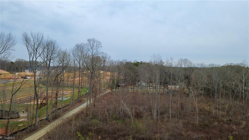 0 Bill Medlin Road Lexington, NC 27292 - Photo 2 of 15