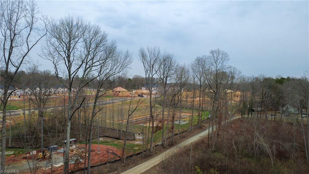 0 Bill Medlin Road Lexington, NC 27292 - Photo 6 of 15