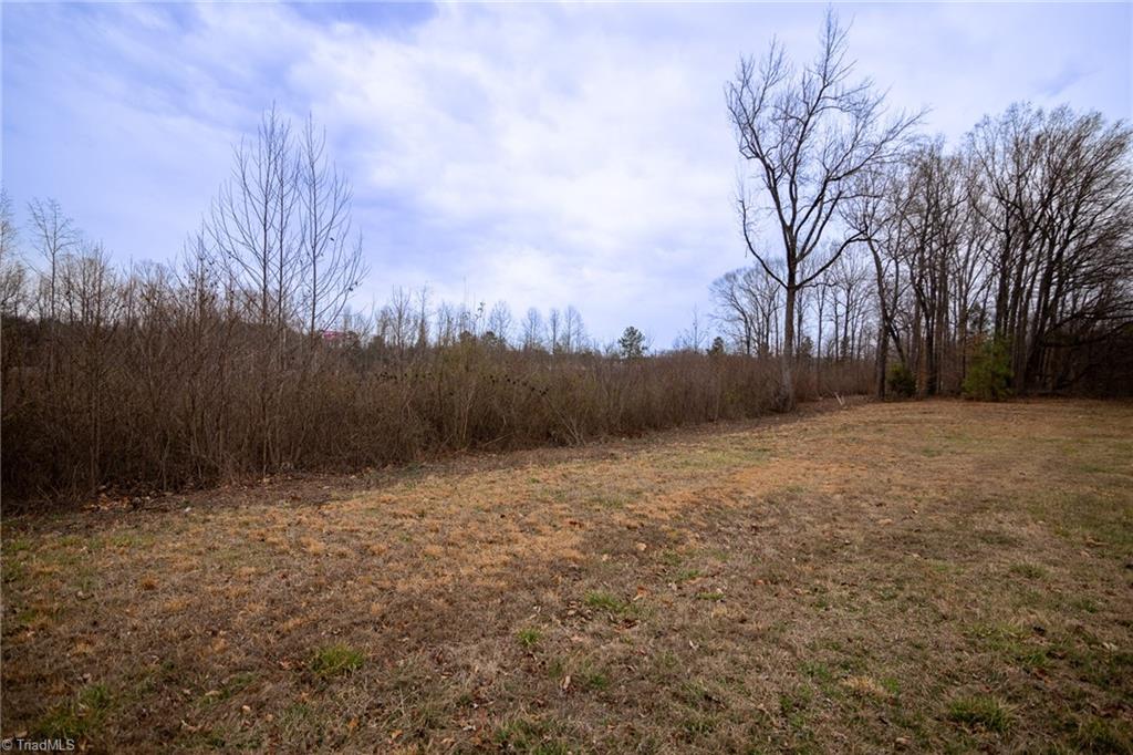 0 Bill Medlin Road Lexington, NC 27292 - Photo 7 of 15