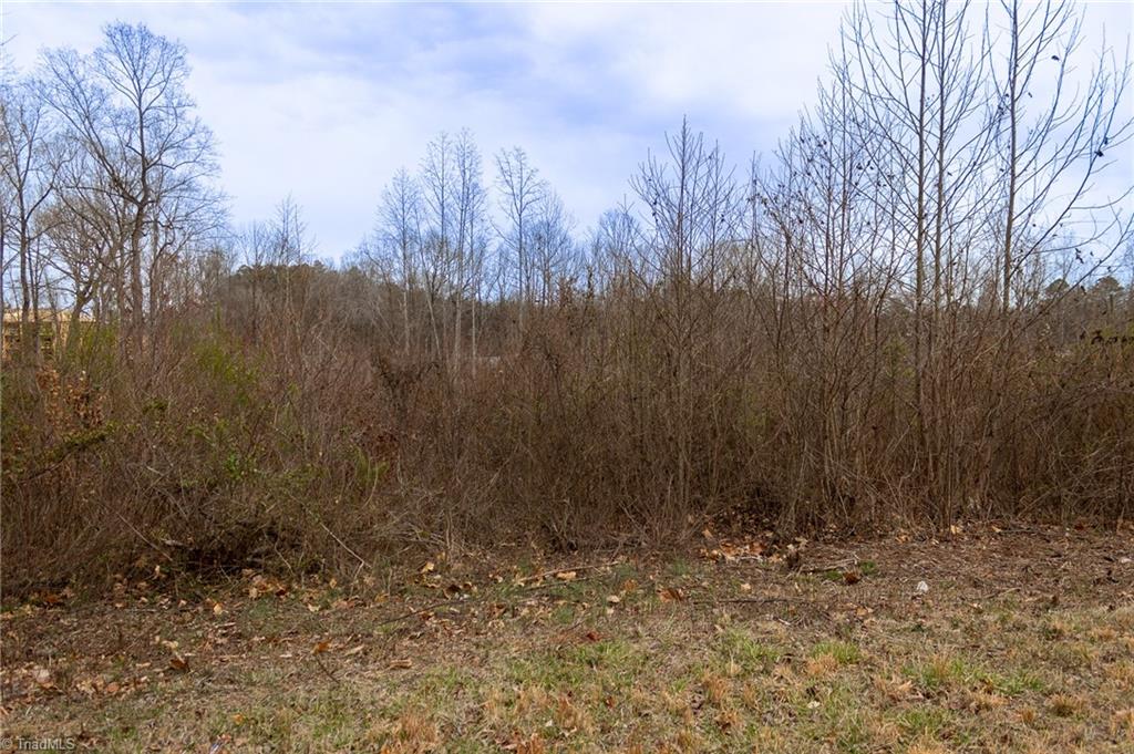 0 Bill Medlin Road Lexington, NC 27292 - Photo 9 of 15