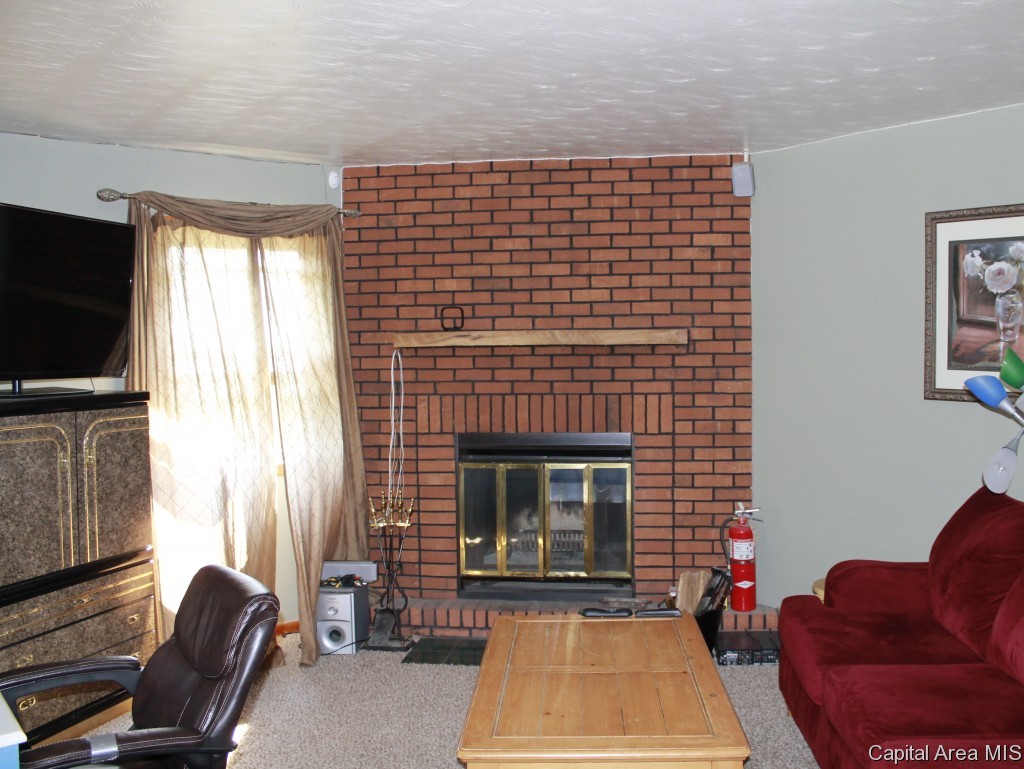2312 East Griffiths Avenue Springfield, IL 62702 - Photo 3 of 33